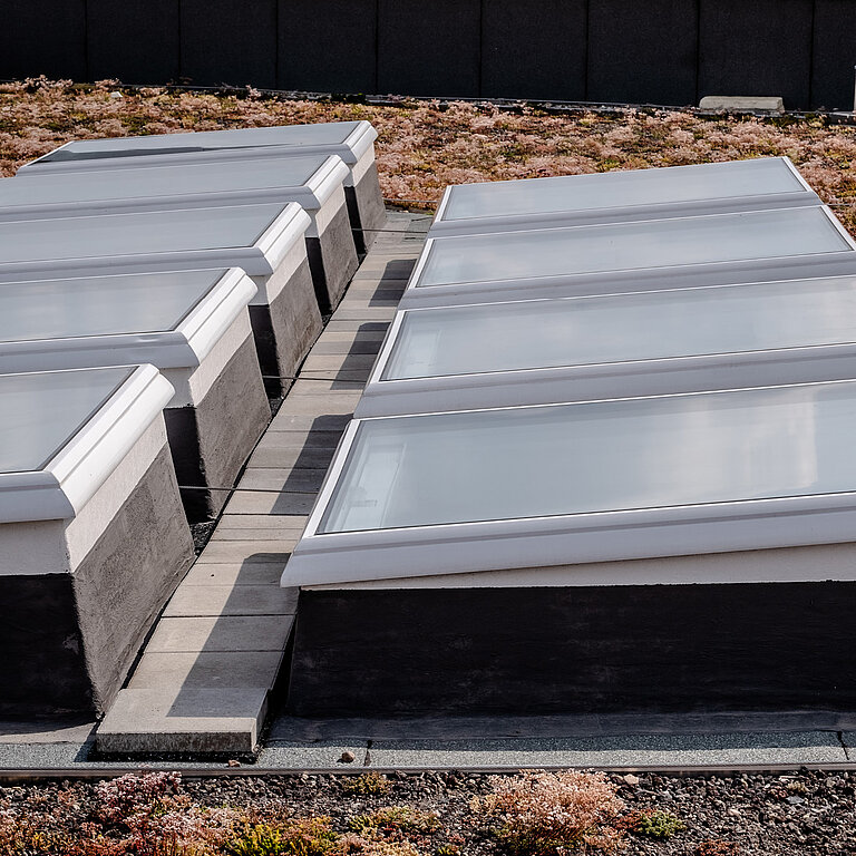 Mehrere geschlossene LAMILUX Flachdach Fenster auf Flachdach in Reihe