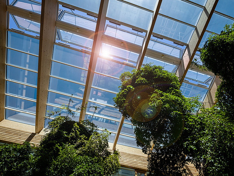 Atrium mit LAMILUX Glasdach PR60, Sonneneinstrahlung und grünen Pflanzen