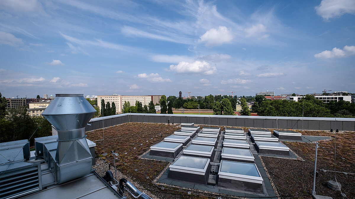 Begrüntes Flachdach mit LAMILUX Flachdach Fenstern, Metalllüfter und Berliner Stadtpanorama im Hintergrund