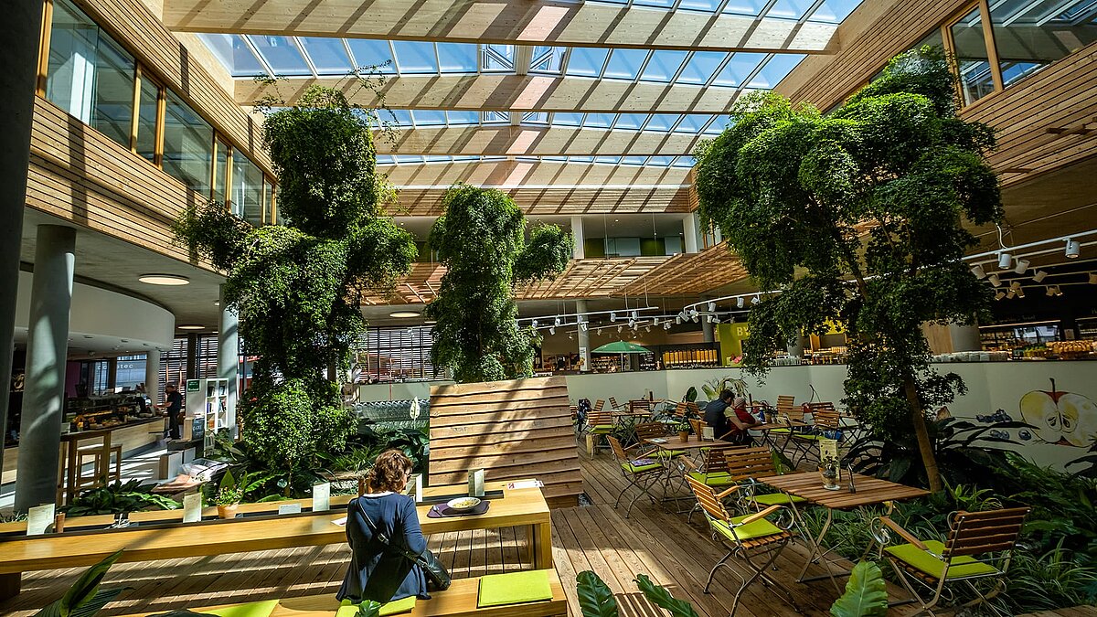 Lichterfüllter Innenbereich des Naturkostladens Byodo in Mühldorf mit großen Glasoberlichtern, Holzverkleidung und grünen Pflanzen.