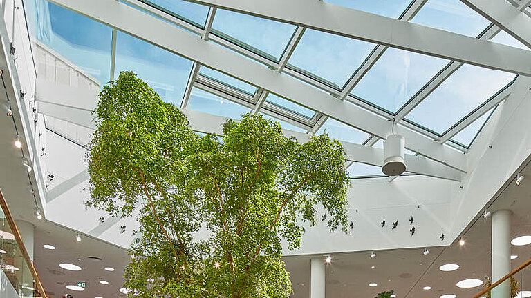 Glasdach PR60 Passivhaus über lichtdurchflutetem Atrium mit großem Baun.