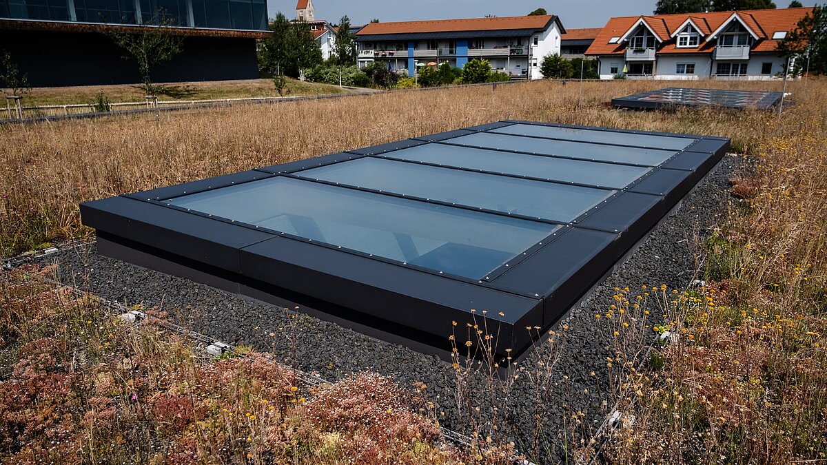 Großflächiges Glasdach auf dem begrünten Flachdach der Kinderkrippe Wiggensbach für natürliches Tageslicht.