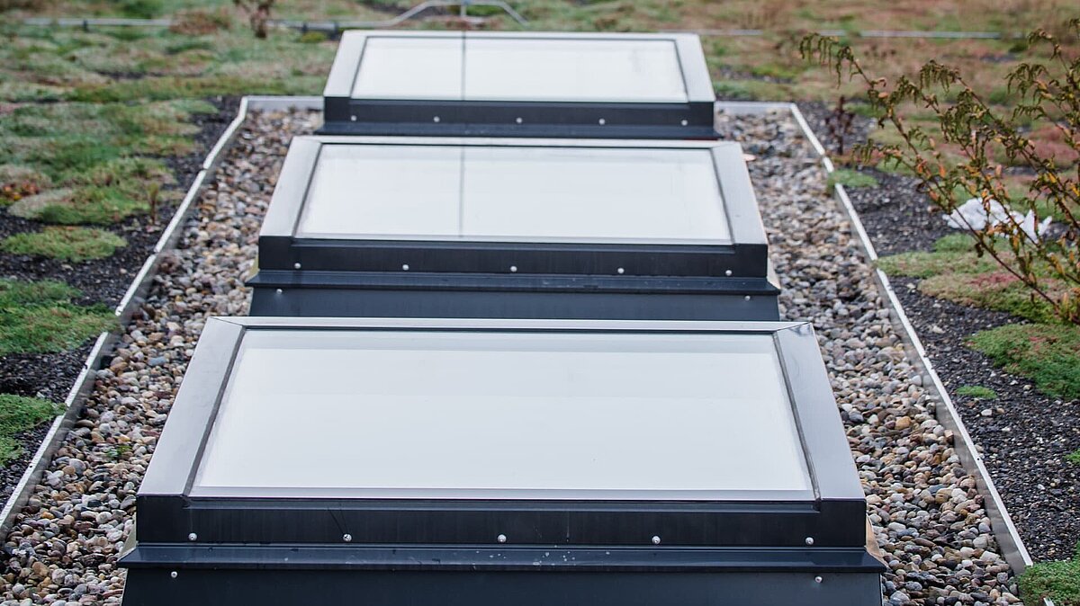 Flachdach-Fenster auf dem begrünten Dach des Markgraf-Georg-Friedrich-Gymnasiums in Kulmbach.