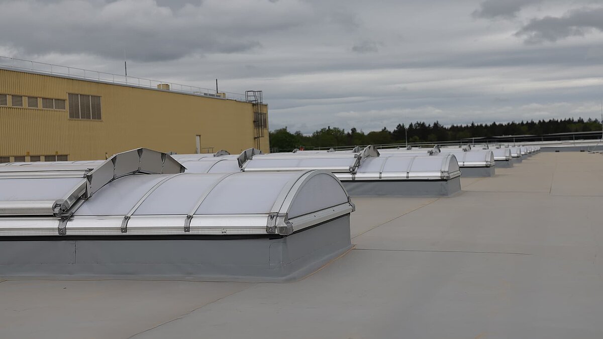 Lichtbänder auf dem Dach der Heidelberger Druckmaschinen zur natürlichen Tageslichtbeleuchtung.