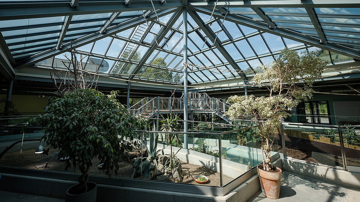 Innenansicht des Zoo Neuwied mit der PR60-Glaskonstruktion, Pflanzen und Gehegen.