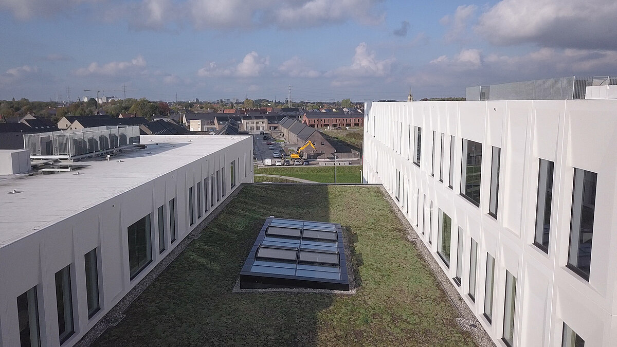 Blick auf ein begrüntes Dach mit Glasdach