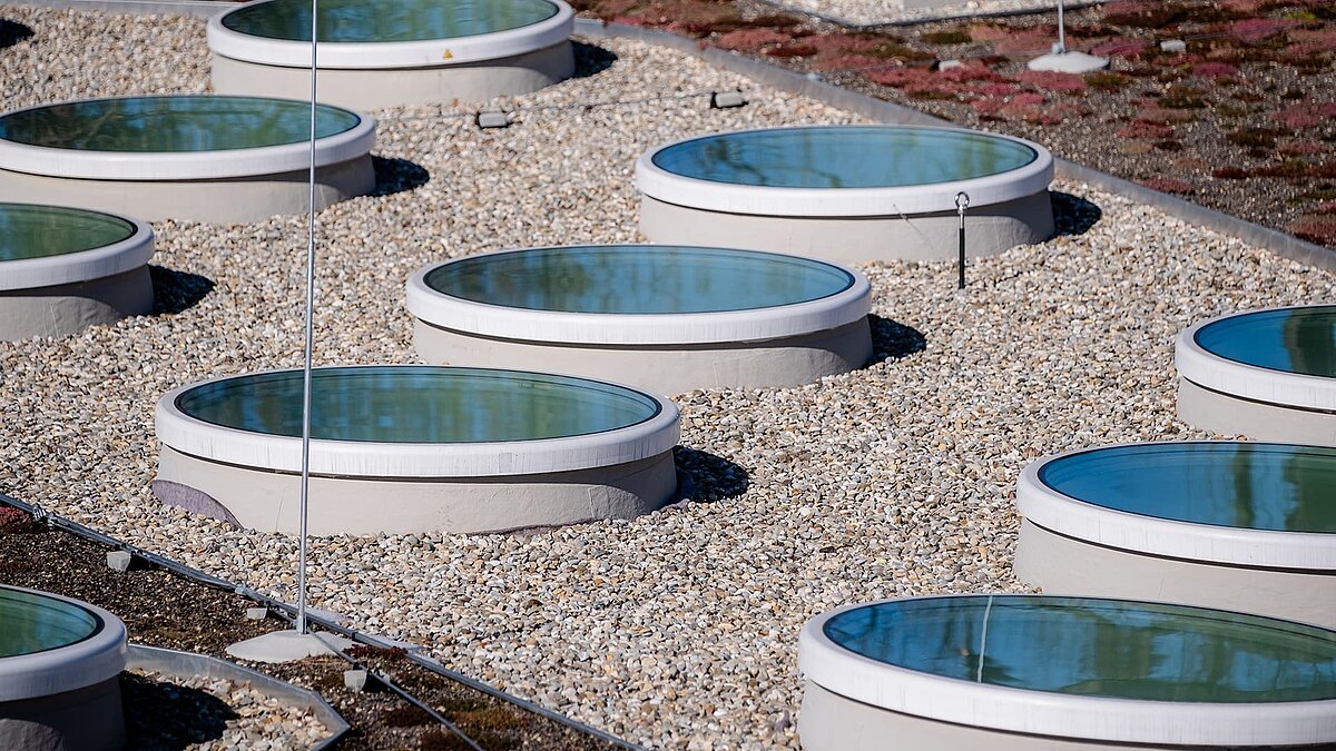 Mehrere runde Flachdachfenster auf dem begrünten Dach des Kindergartens St. Severin, teilweise mit Schnee bedeckt.