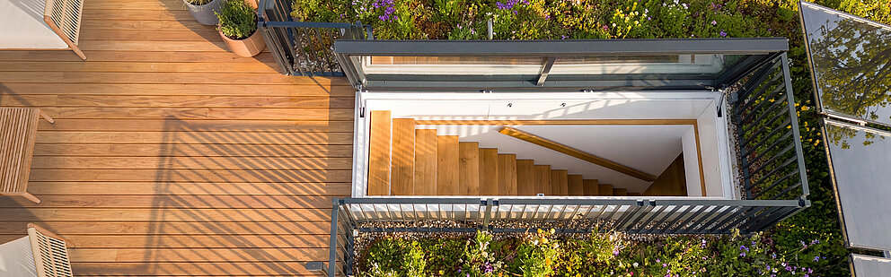 Vogelperspektive auf Dachterrasse mit Holzdeck, Treppenhaus, Glasgeländer und blühender Dachbegrünung
